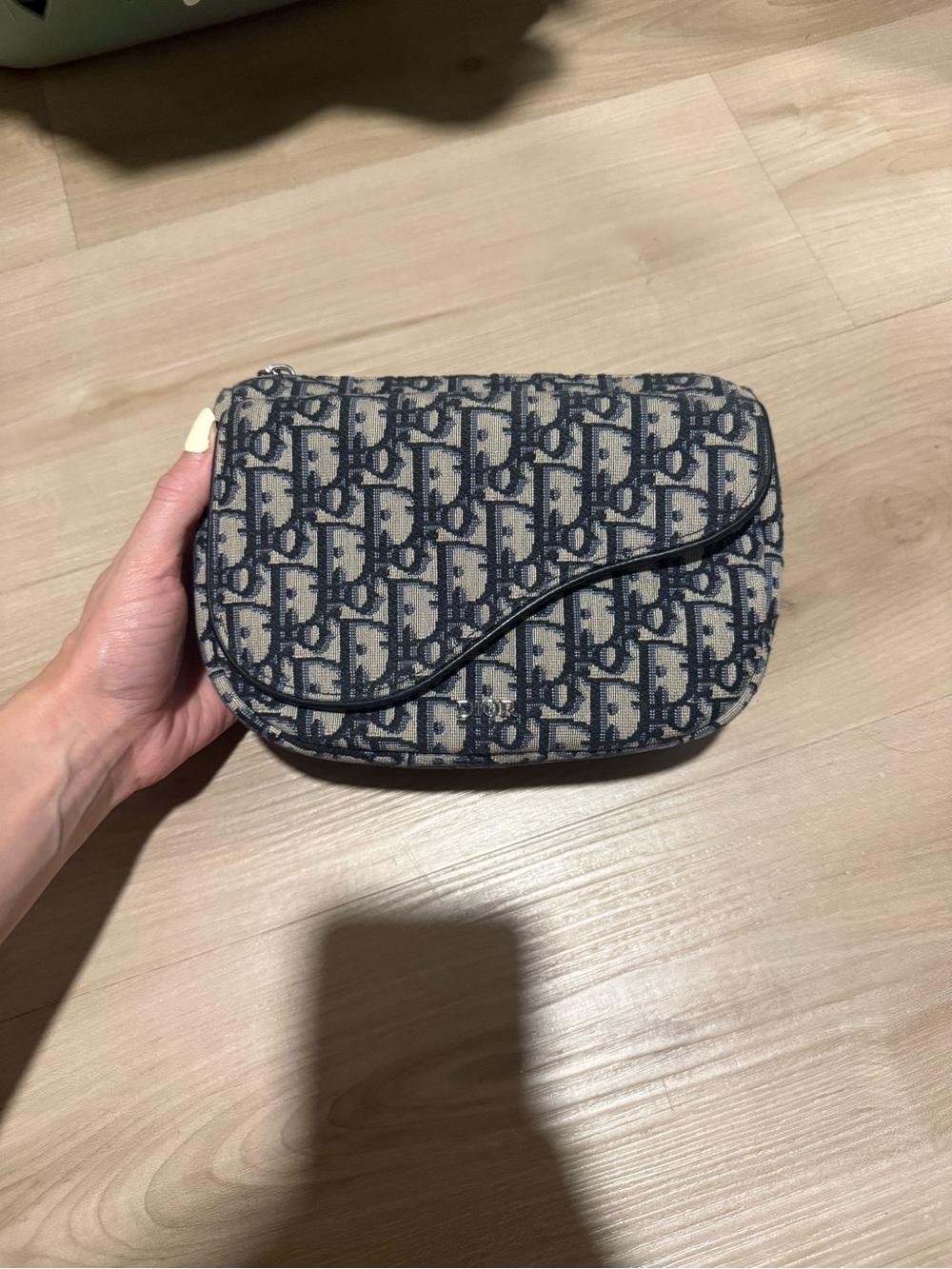 Dior Blue and Beige Monogram Saddle Pouch